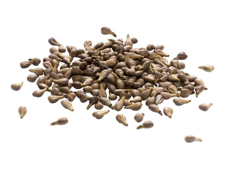 Krmana krema vsebuje olje grozdnega semena